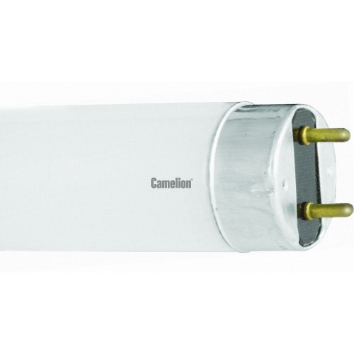 Лампа люминесцентная 15Вт, T8, 6500K, G13 FT8-15W/54 Camelion Фото №1