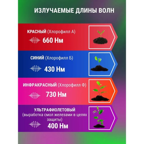 Светильник напольный на треноге светодиодный ТНО-Т2-ФИТО 6Т60 60Вт 6 плафонов, пульт на шнуре, Черный IN HOME