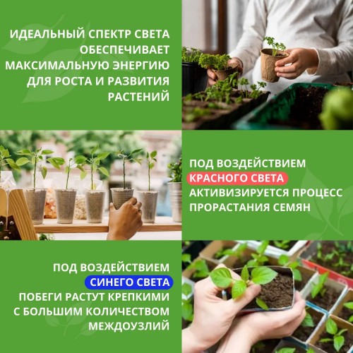 Светильник настольный для растений светодиодный на прищепке, 8Вт, IP40, Черный UF-780, C02, Ultraflash