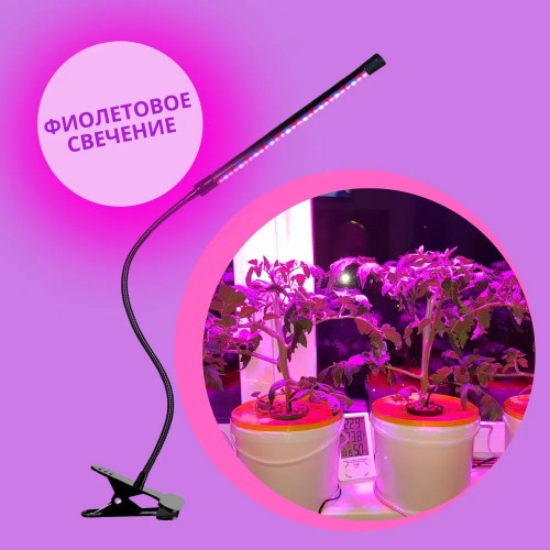 Светильник настольный для растений светодиодный на прищепке, 8Вт, IP40, Черный UF-780, C02, Ultraflash