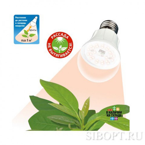 Лампа для растений светодиодная 10Вт, A60, E27, SPFR, Uniel