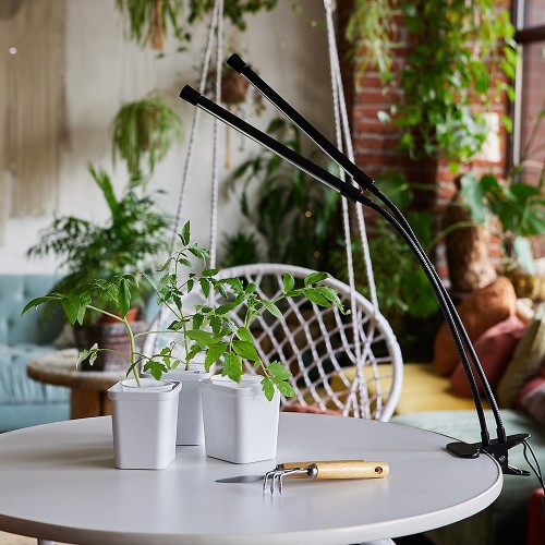 Светильник настольный для растений светодиодный на прищепке 15Вт, 220В, Чёрный ULT-P33-15W/SPSB BLACK Uniel