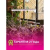 Светильник линейный для растений светодиодный 10Вт, 560мм, IP40, с выключателем, Белый ULI-P12-10W/SPLE IP40 WHITE Uniel Фото 5