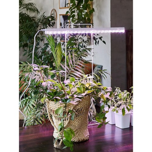 Светильник линейный для растений светодиодный 10Вт, 560мм, IP40, с выключателем, Белый ULI-P12-10W/SPLE IP40 WHITE Uniel Фото №10