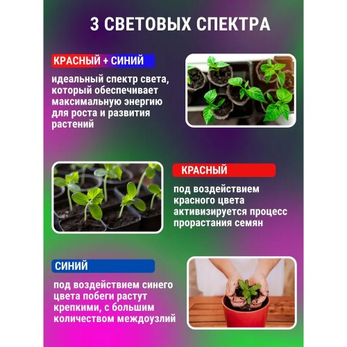 Светильник настольный на прищепке светодиодный СНП-Т2-ФИТО 2П20 20Вт 2 плафона, пульт на шнуре Черный IN HOME