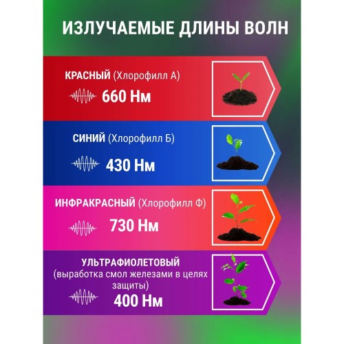 Светильник настольный на прищепке светодиодный СНП-Т2-ФИТО 2П20 20Вт 2 плафона, пульт на шнуре Черный IN HOME