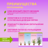 Лампа для растений светодиодная 25Вт, A65, E27, FITO, In Home Фото 2