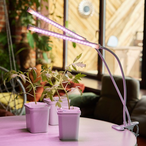 Светильник настольный для растений светодиодный на прищепке 15Вт, 220В, Белый ULT-P33-15W/SPLE WHITE Uniel Фото №8