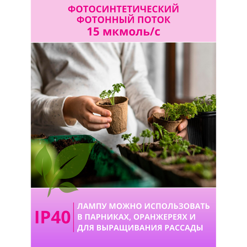 Светильник светодиодный СПБ-110-ФИТО сине-красный спектр 40Вт, 1200мм, IP40 IN HOME