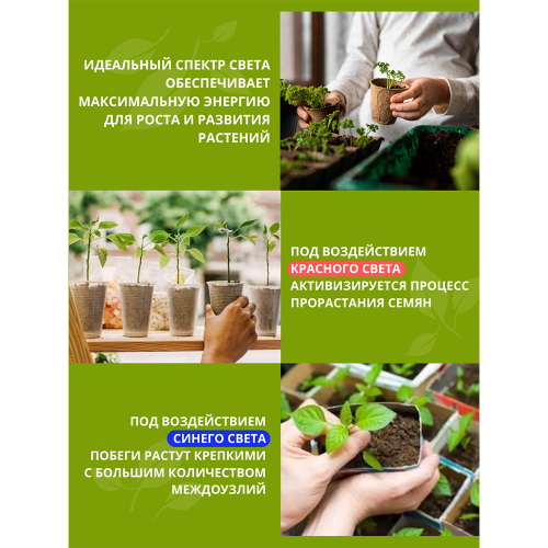 Светильник светодиодный СПБ-110-ФИТО сине-красный спектр 40Вт, 1200мм, IP40 IN HOME