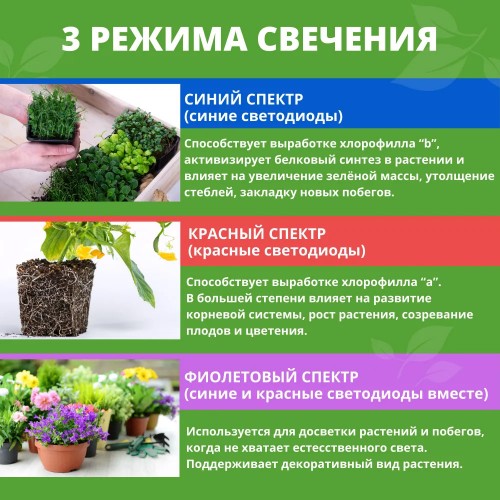 Светильник настольный для растений светодиодный на прищепке, 12Вт, IP40, Черный UF-781, C02, Ultraflash Фото №4