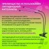 Светильник настольный для растений светодиодный на прищепке, 12Вт, IP40, Черный UF-781, C02, Ultraflash Фото 7
