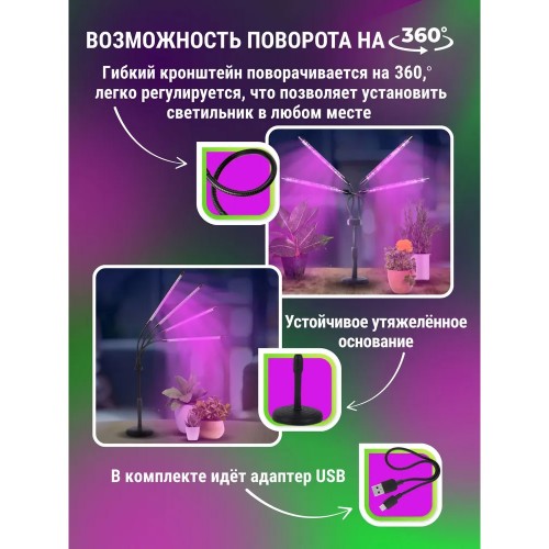 Светильник настольный на основании светодиодный СНО-Т2-ФИТО 4С40 40Вт 4 плафона, пульт на шнуре Черный IN HOME