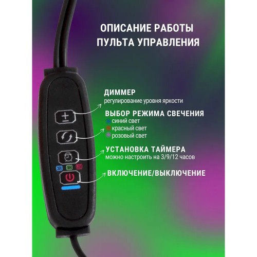Светильник настольный на основании светодиодный СНО-Т2-ФИТО 4С40 40Вт 4 плафона, пульт на шнуре Черный IN HOME