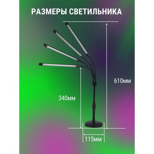 Светильник настольный на основании светодиодный СНО-Т2-ФИТО 4С40 40Вт 4 плафона, пульт на шнуре Черный IN HOME