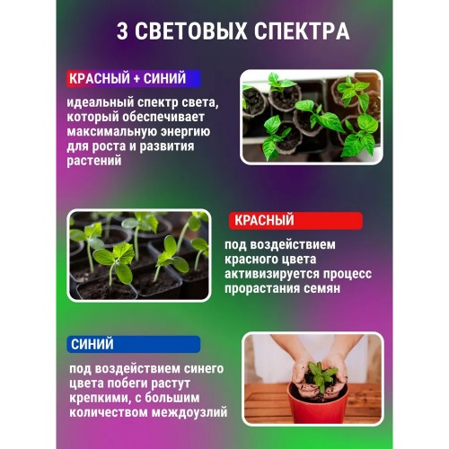 Светильник настольный на основании светодиодный СНО-Т2-ФИТО 4С40 40Вт 4 плафона, пульт на шнуре Черный IN HOME