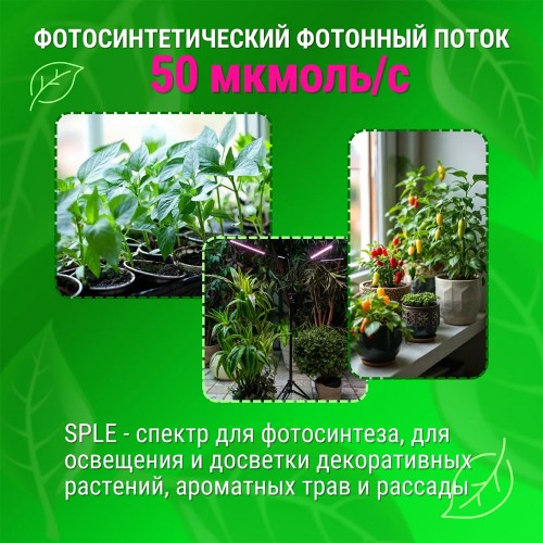 Светильник светодиодный напольный для растений с подставкой 36Вт, IP40, Черный ULT-P32-36W/SPLE/TM/40 BLACK QUAD Uniel Фото №6