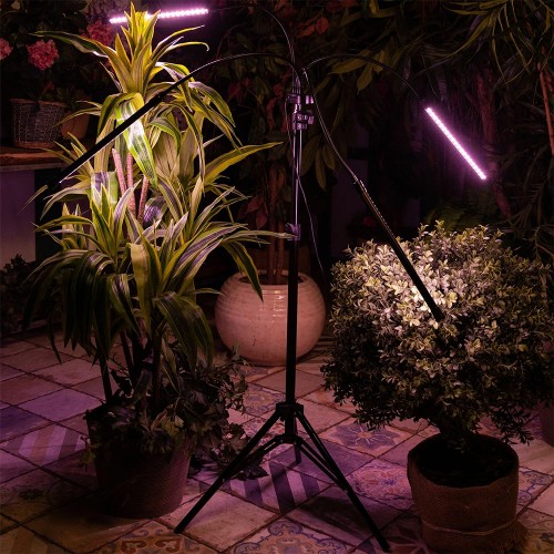 Светильник светодиодный напольный для растений с подставкой 36Вт, IP40, Черный ULT-P32-36W/SPLE/TM/40 BLACK QUAD Uniel Фото №7