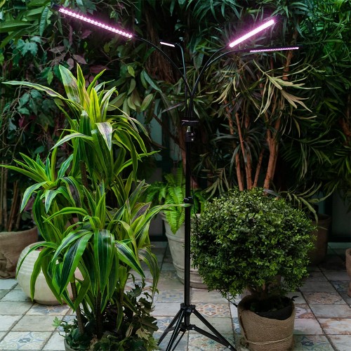 Светильник светодиодный напольный для растений с подставкой 36Вт, IP40, Черный ULT-P32-36W/SPLE/TM/40 BLACK QUAD Uniel Фото №8