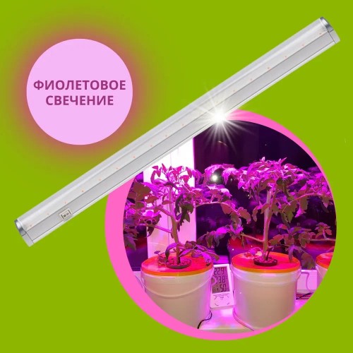 Светильник линейный для растений светодиодный 10Вт, 570мм, IP20 СПБ-Т5-ФИТО IN HOME