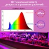 Светильник линейный для растений светодиодный 15Вт, 870мм, IP20 СПБ-Т5-ФИТО IN HOME Фото 5