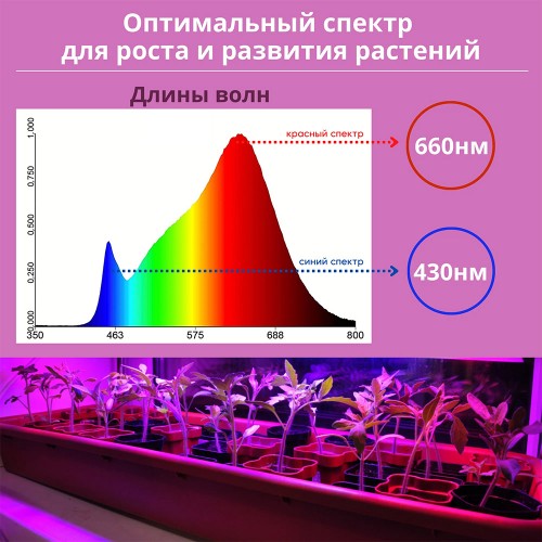 Светильник линейный для растений светодиодный 15Вт, 870мм, IP20 СПБ-Т5-ФИТО IN HOME Фото №5