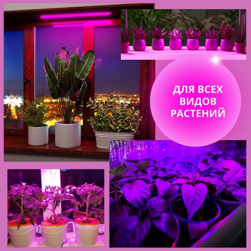 Светильник линейный для растений светодиодный 15Вт, 870мм, IP20 СПБ-Т5-ФИТО IN HOME Фото №8