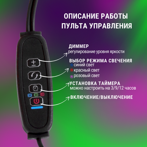 Светильник настольный на прищепке светодиодный СНП-Т2-ФИТО 4П40 40Вт 4 плафона, пульт на шнуре Черный IN HOME