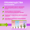 Лампа для растений светодиодная 15Вт, A60, E27, FITO, In Home Фото 2