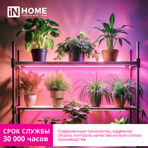 Светильник светодиодный СПБ-Т5PRO-ФИТО полный спектр 20Вт 230B 870мм IN HOME Фото №4